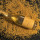 New Bee Pollen